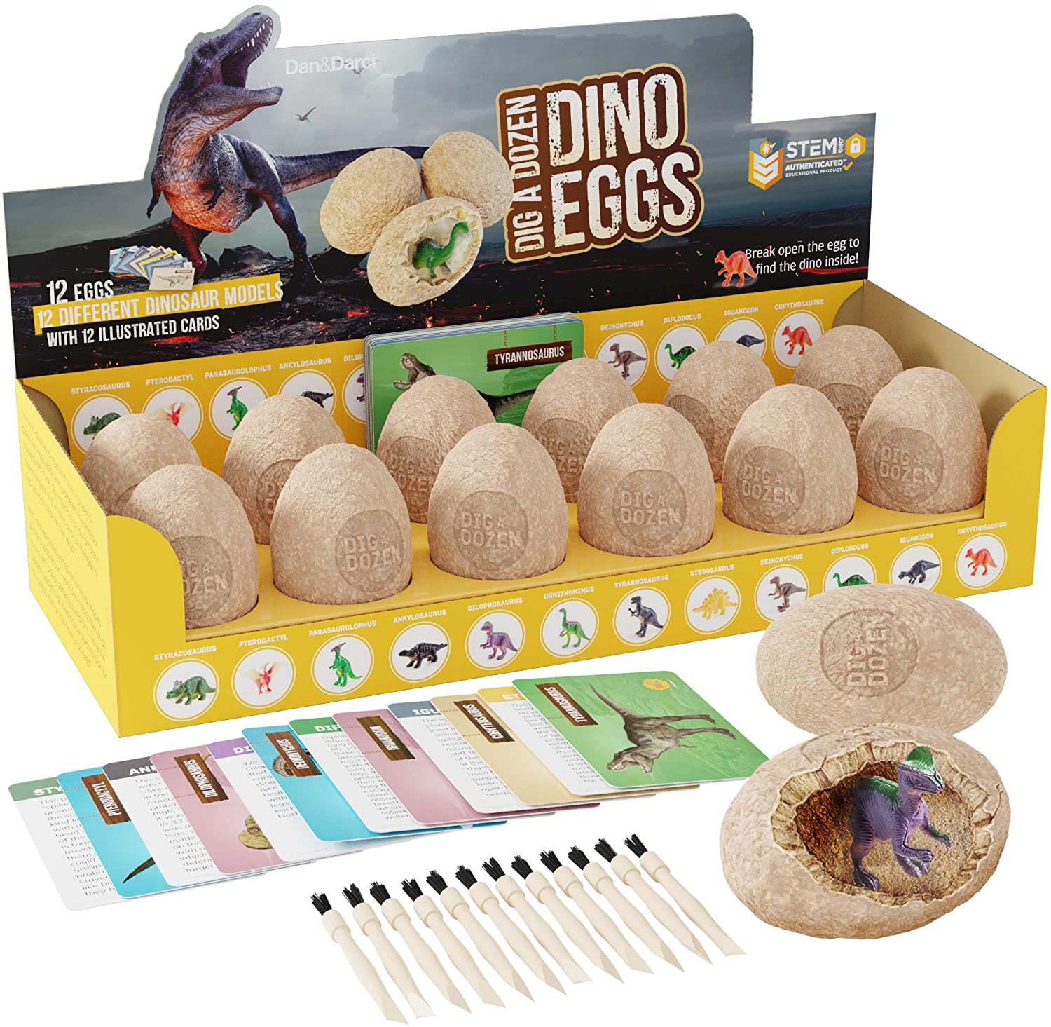 Eggs Dig Kit